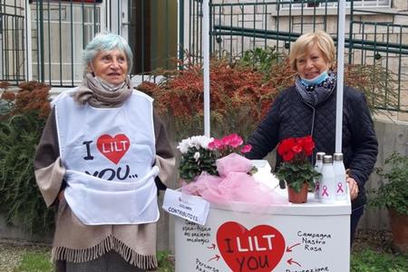 Offerta di ciclamini nel giardino della sede 