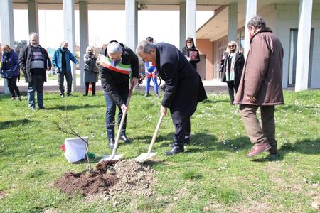 Il sindaco Bosso e il prof. Rivelli piantano l'acero rosso dei 100 anni della LILT 